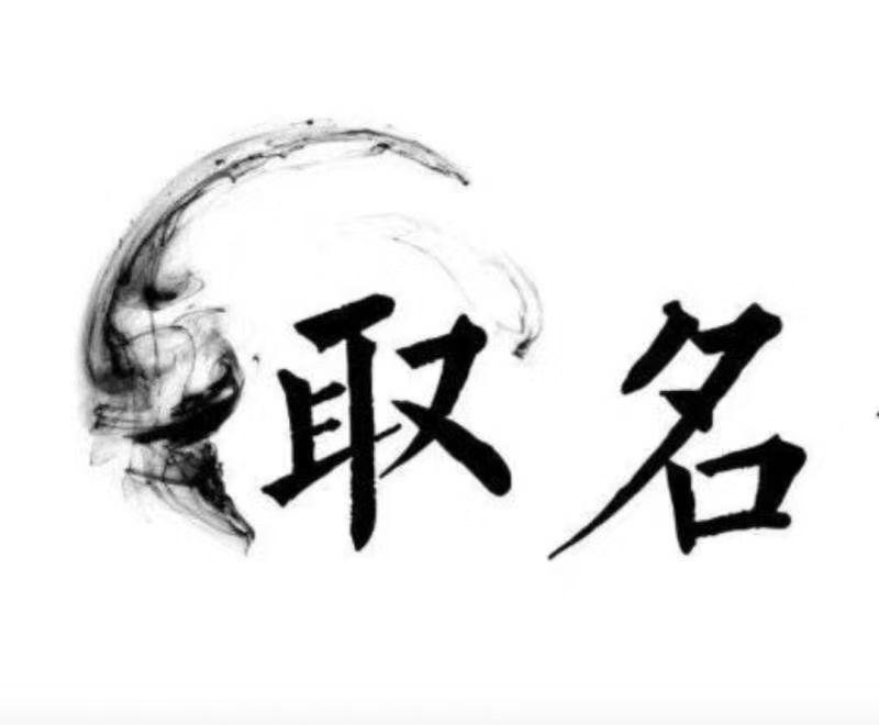  武清宝宝取名 大师一对一人工起名