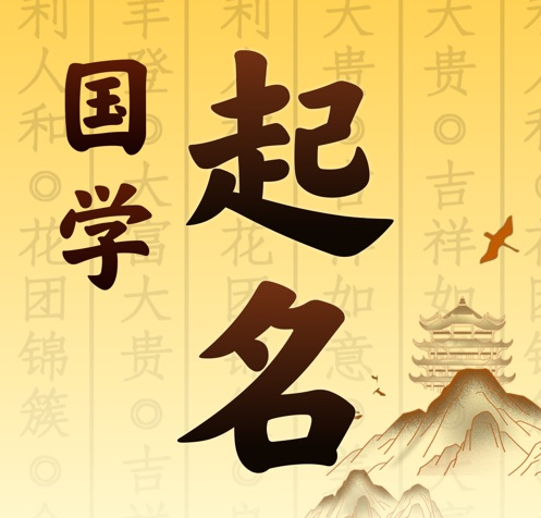 武清国学起名 人工起名一对一